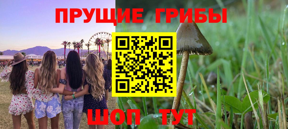 Конаково  Галлюциногенные грибы GOLDEN TEACHER  Псилоцибиновые грибы мухоморы  Вход с VPN 